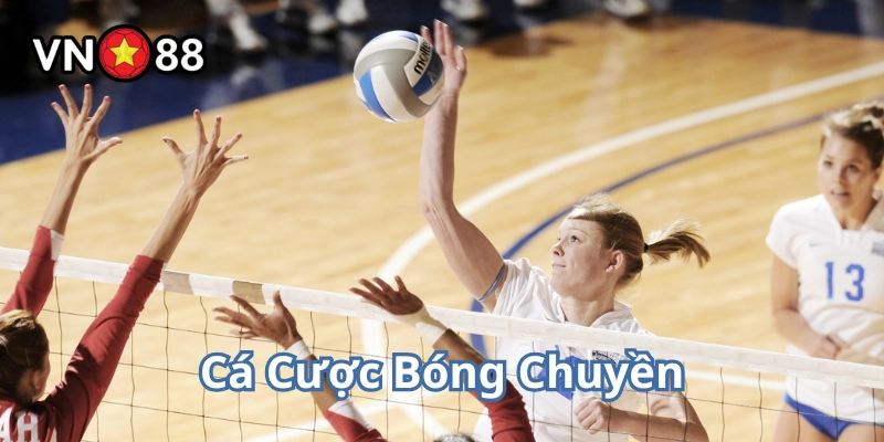 Cá Cược Bóng Chuyền là gì?