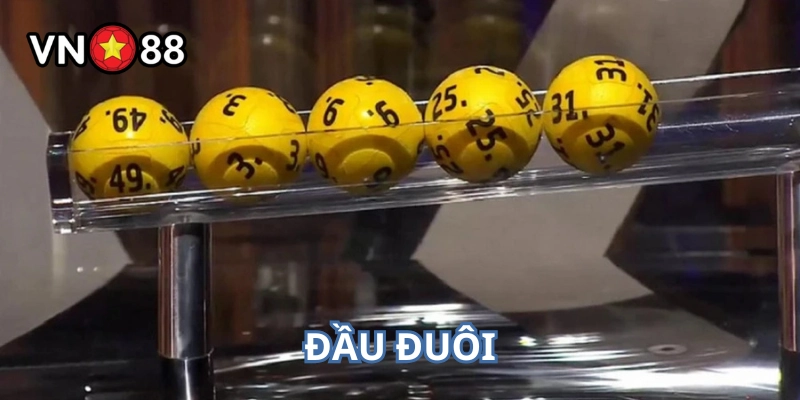 Đầu Đuôi là gì? 