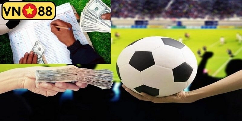 Tìm hiểu sơ lược về cò bóng đá