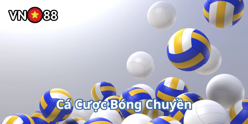 Kinh nghiệm soi kèo Cá Cược Bóng Chuyền