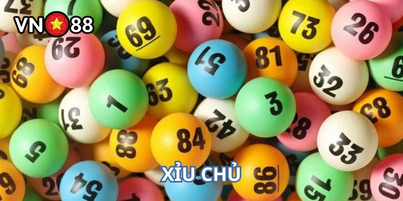 Xỉu Chủ và những điều cần lưu ý