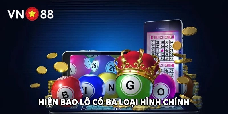 Hiện Bao Lô có ba loại hình chính