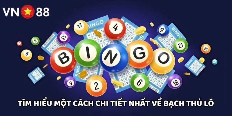 Tìm hiểu một cách chi tiết nhất về Bạch Thủ Lô