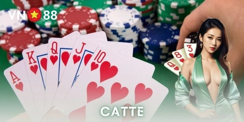 Catte là gì và tại sao hấp dẫn?