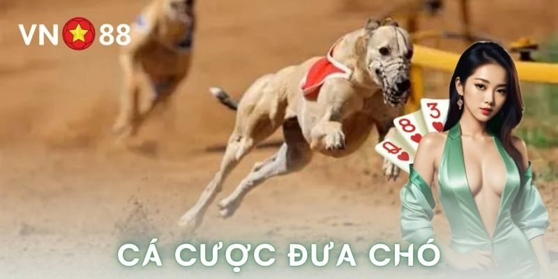 Chơi thông minh để tận hưởng đúng nghĩa