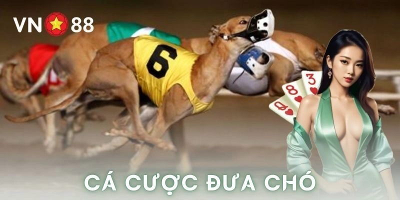 Lợi ích và rủi ro của trò chơi này