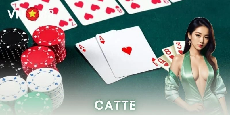 Vì sao catte được ưa chuộng trên các nền tảng